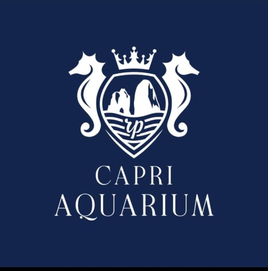 Capri Aquarium Family - Vacation Home Kültér fotó