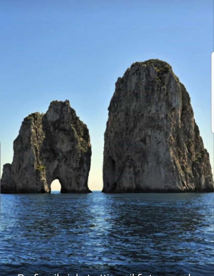 Capri Aquarium Family - Vacation Home Kültér fotó