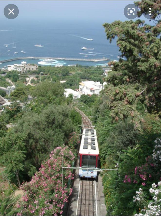 Capri Aquarium Family - Vacation Home Kültér fotó